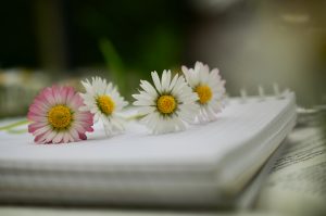 flors i llibreta
